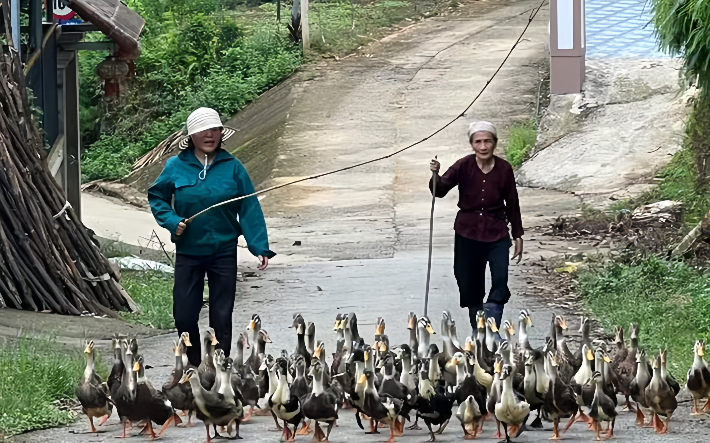 Đồng hành cùng phụ nữ vươn lên phát triển kinh tế