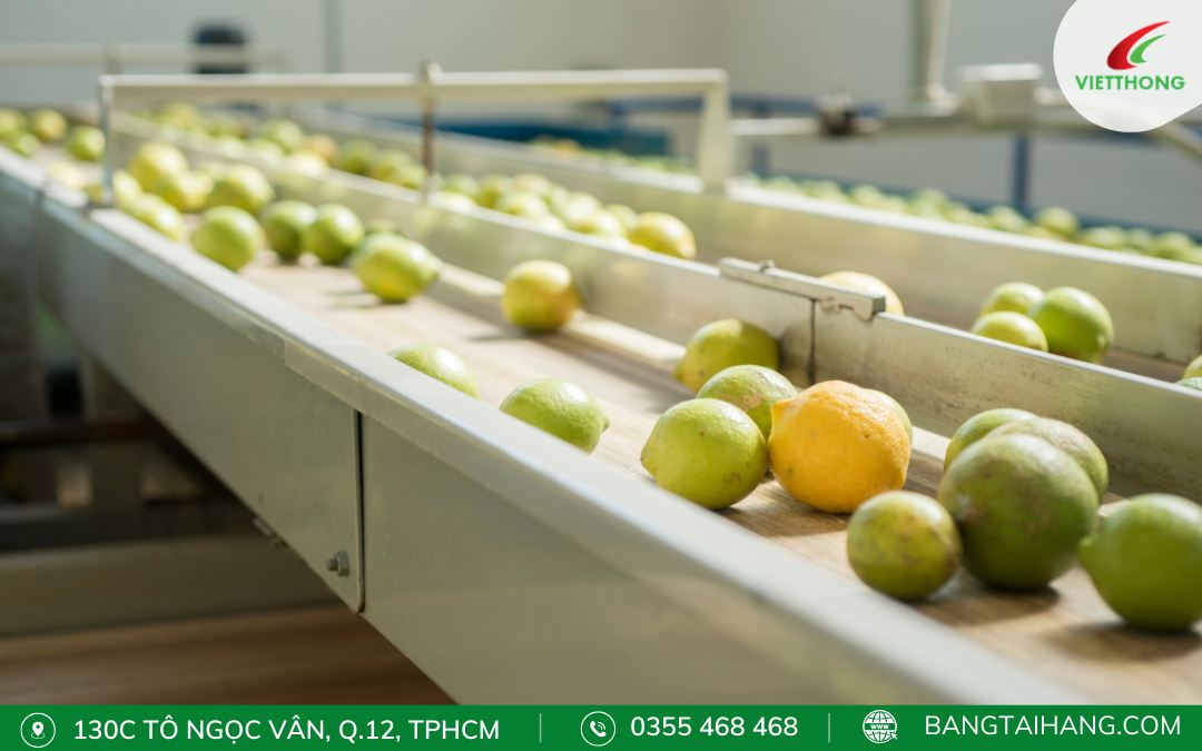 Băng tải nông sản: Đặc điểm, ứng dụng và một số loại phổ biến