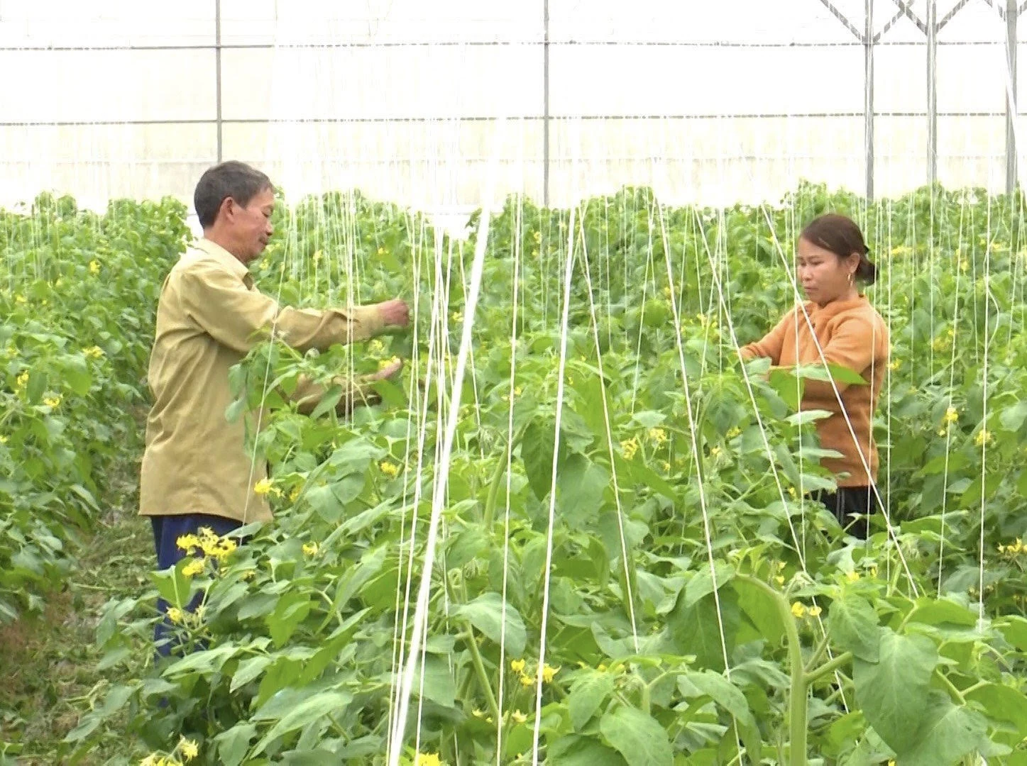 Giải pháp trọng tâm, đột phá thúc đẩy kinh tế phát triển