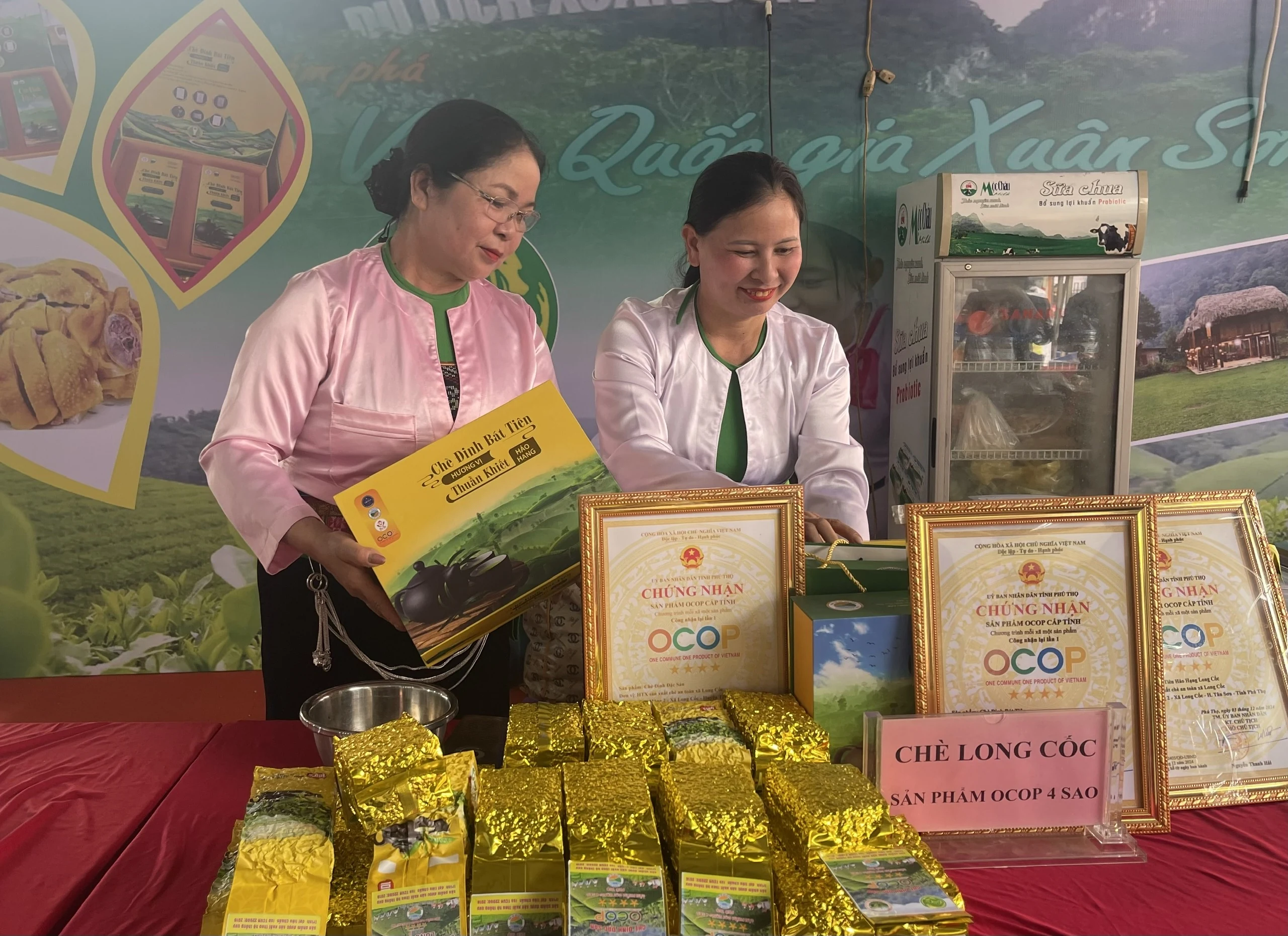 Hiệu quả từ xây dựng chuỗi liên kết sản xuất chè xanh