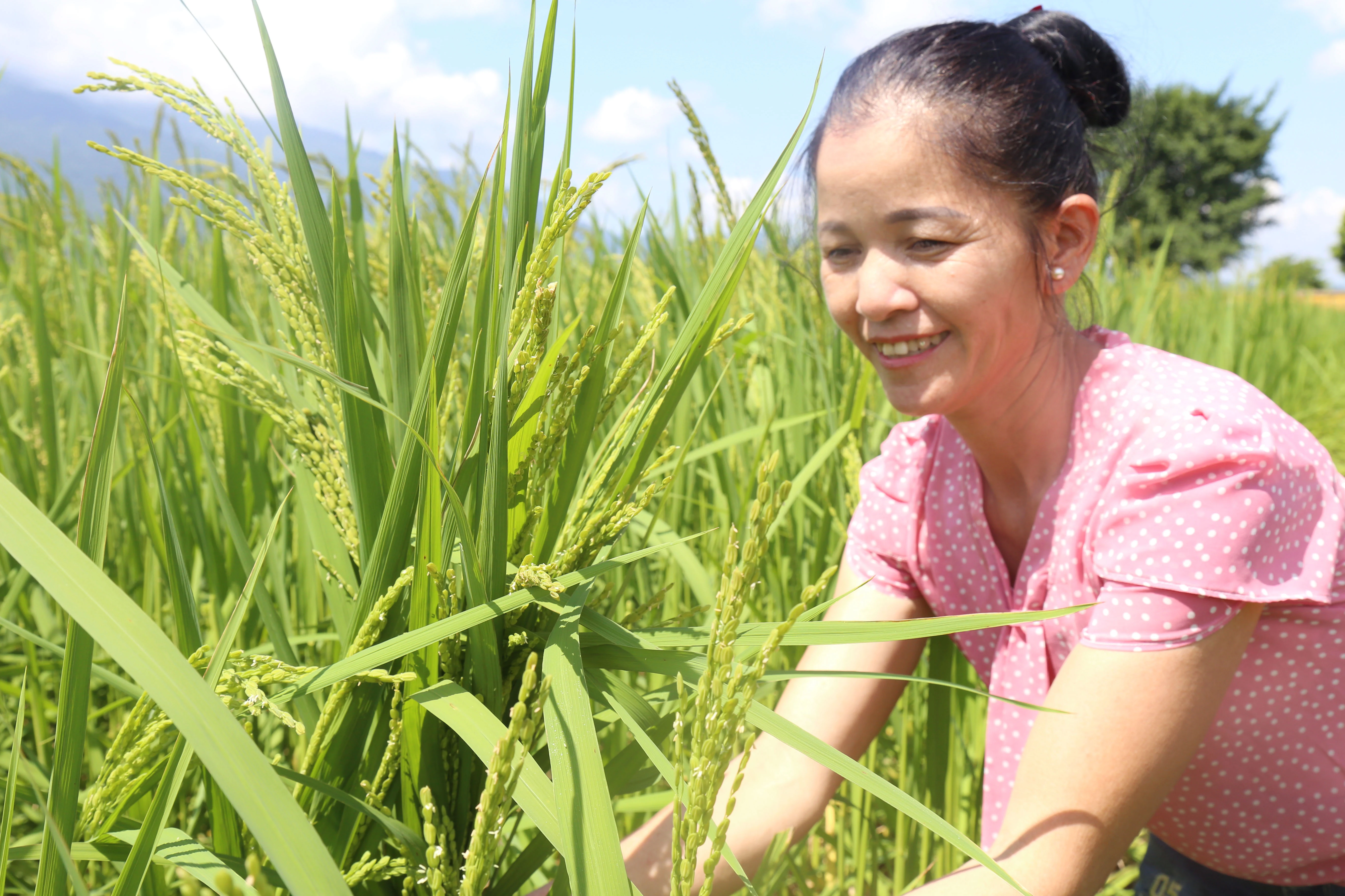 Chung sức xây dựng xã nông thôn mới