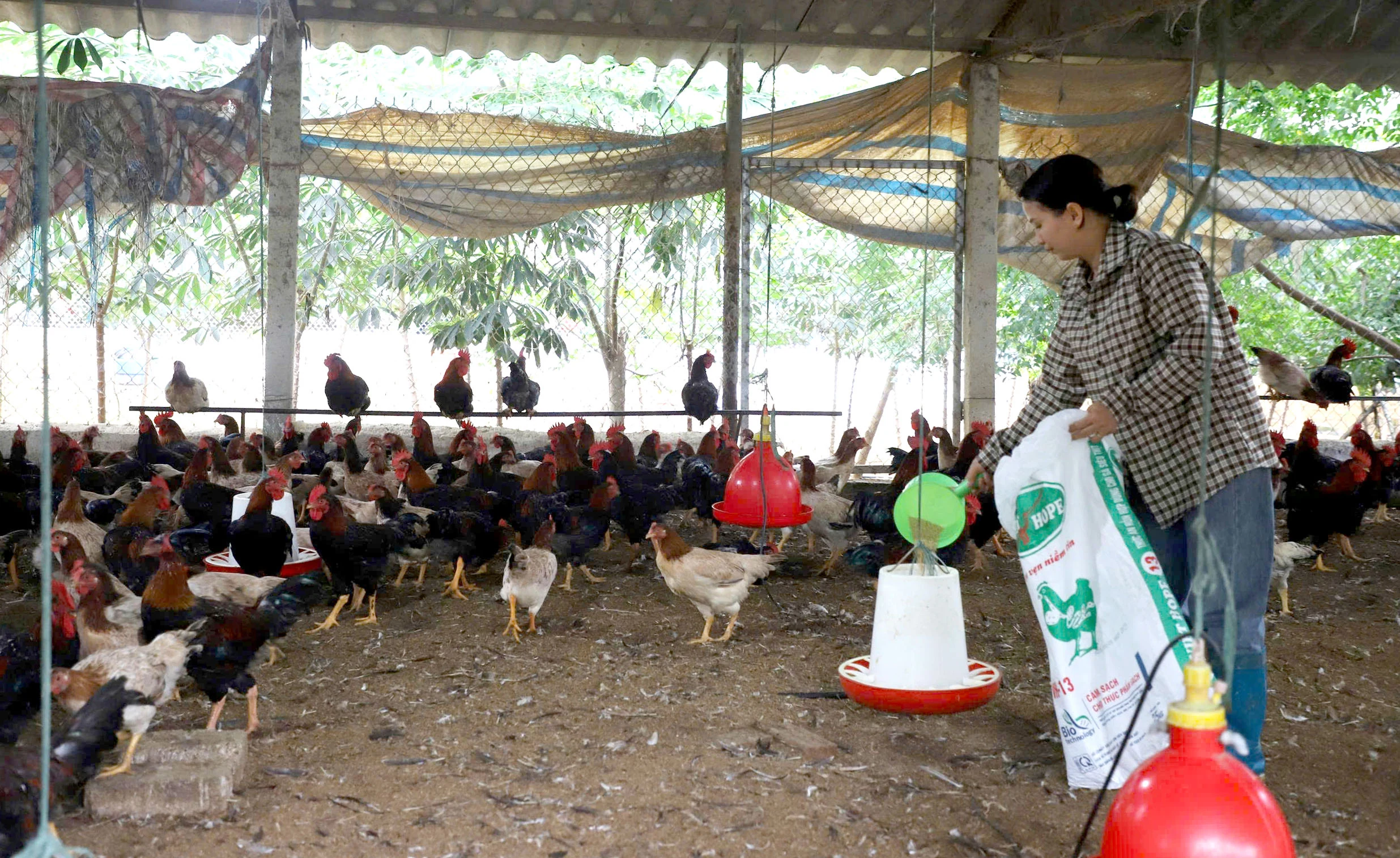 Chung sức xây dựng xã nông thôn mới