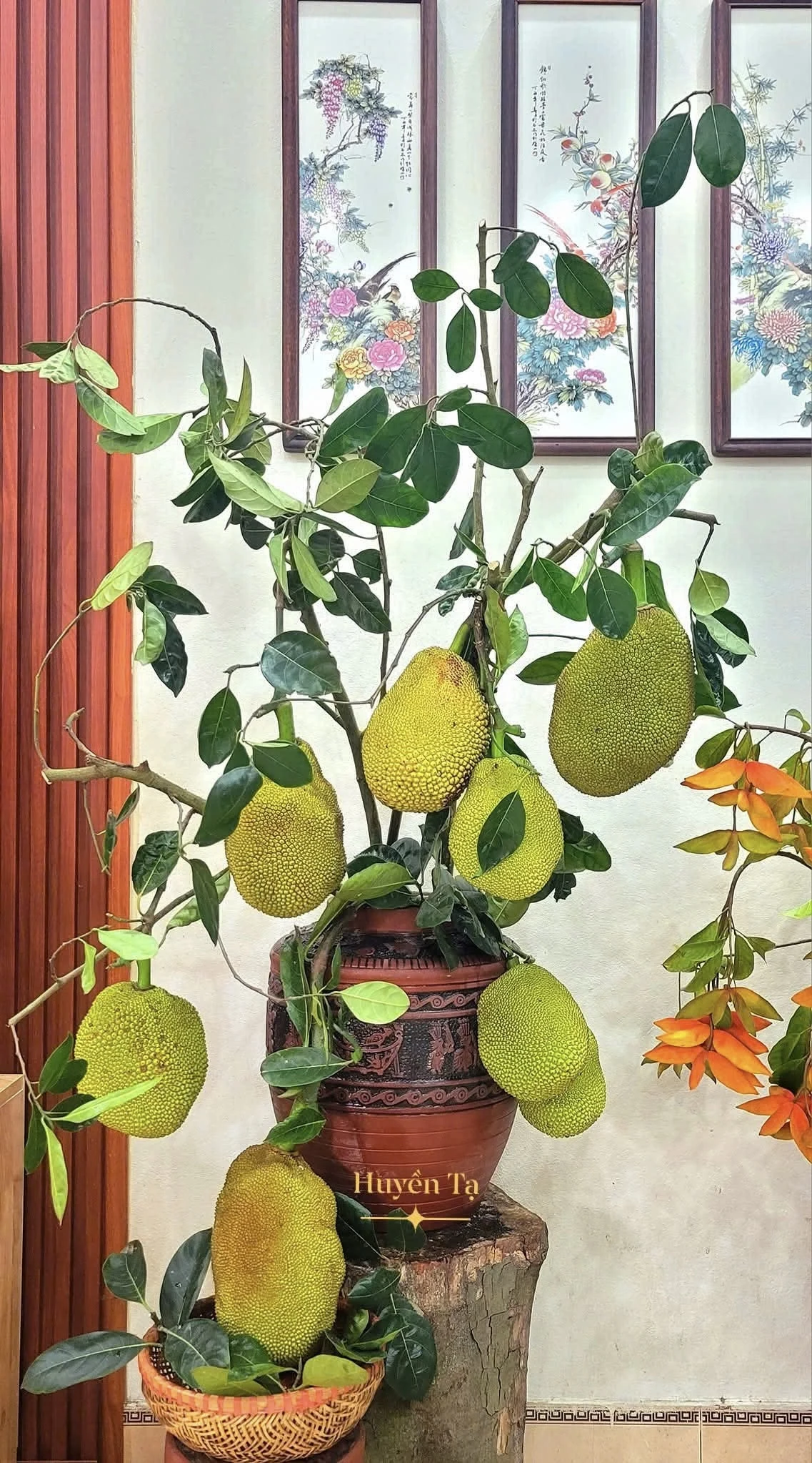 Cô giáo nổi tiếng khắp mạng xã hội nhờ thú chơi độc lạ