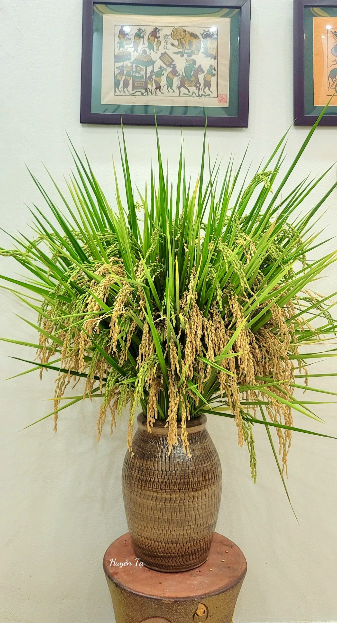 Cô giáo nổi tiếng khắp mạng xã hội nhờ thú chơi độc lạ