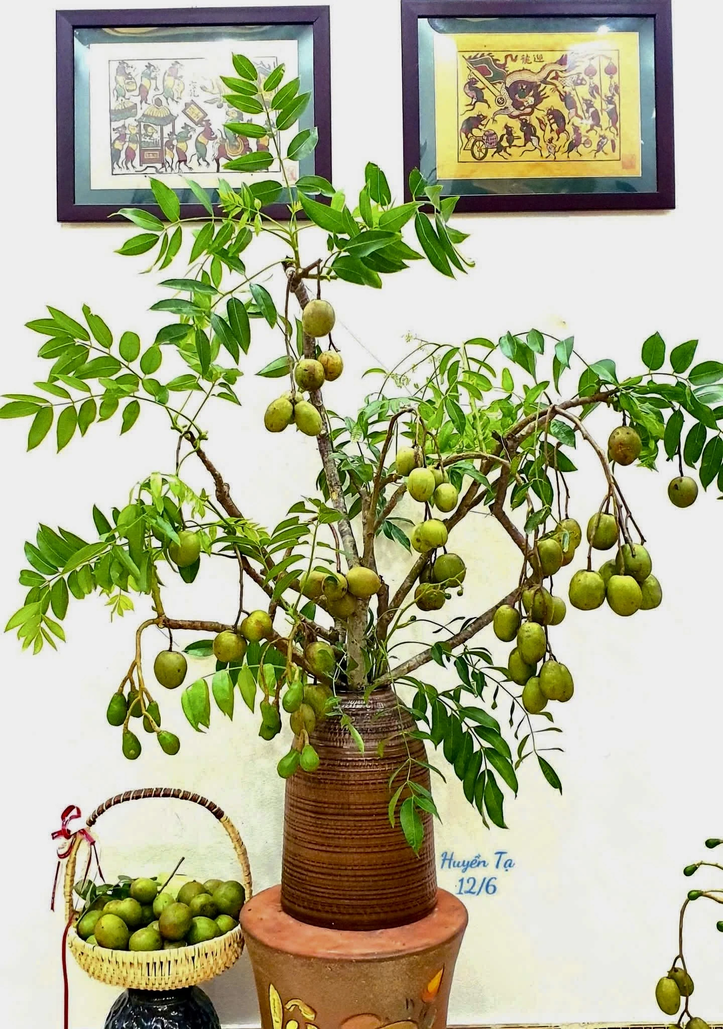 Cô giáo nổi tiếng khắp mạng xã hội nhờ thú chơi độc lạ