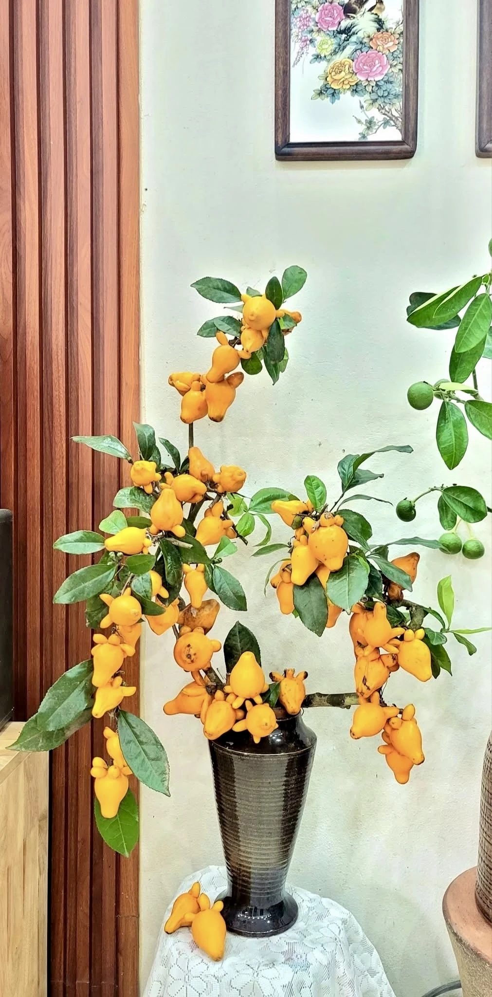 Cô giáo nổi tiếng khắp mạng xã hội nhờ thú chơi độc lạ