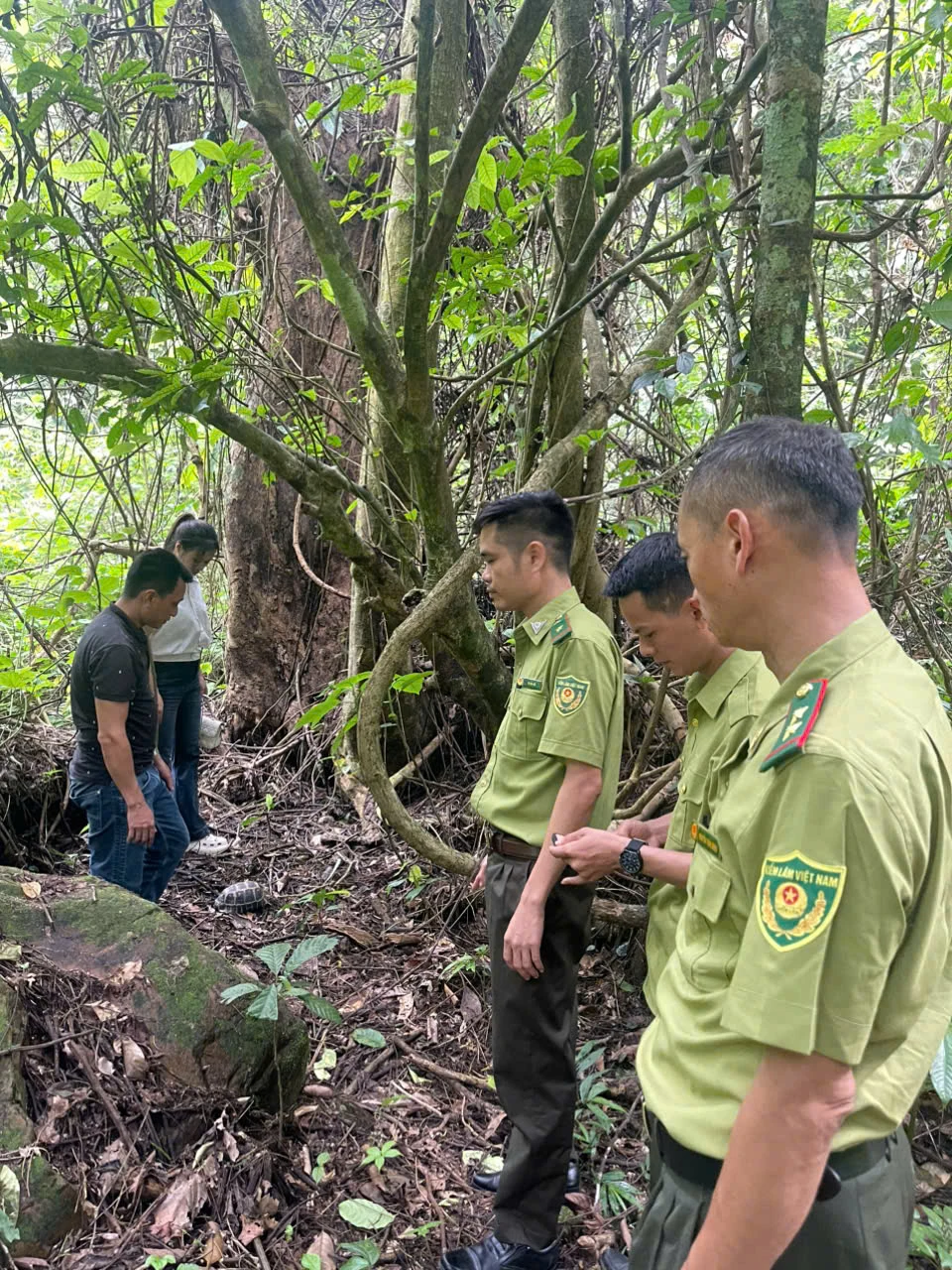 Tái thả động vật hoang dã quý hiếm về tự nhiên