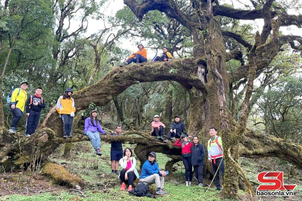 Du lịch cộng đồng gắn với bảo tồn văn hóa dân tộc