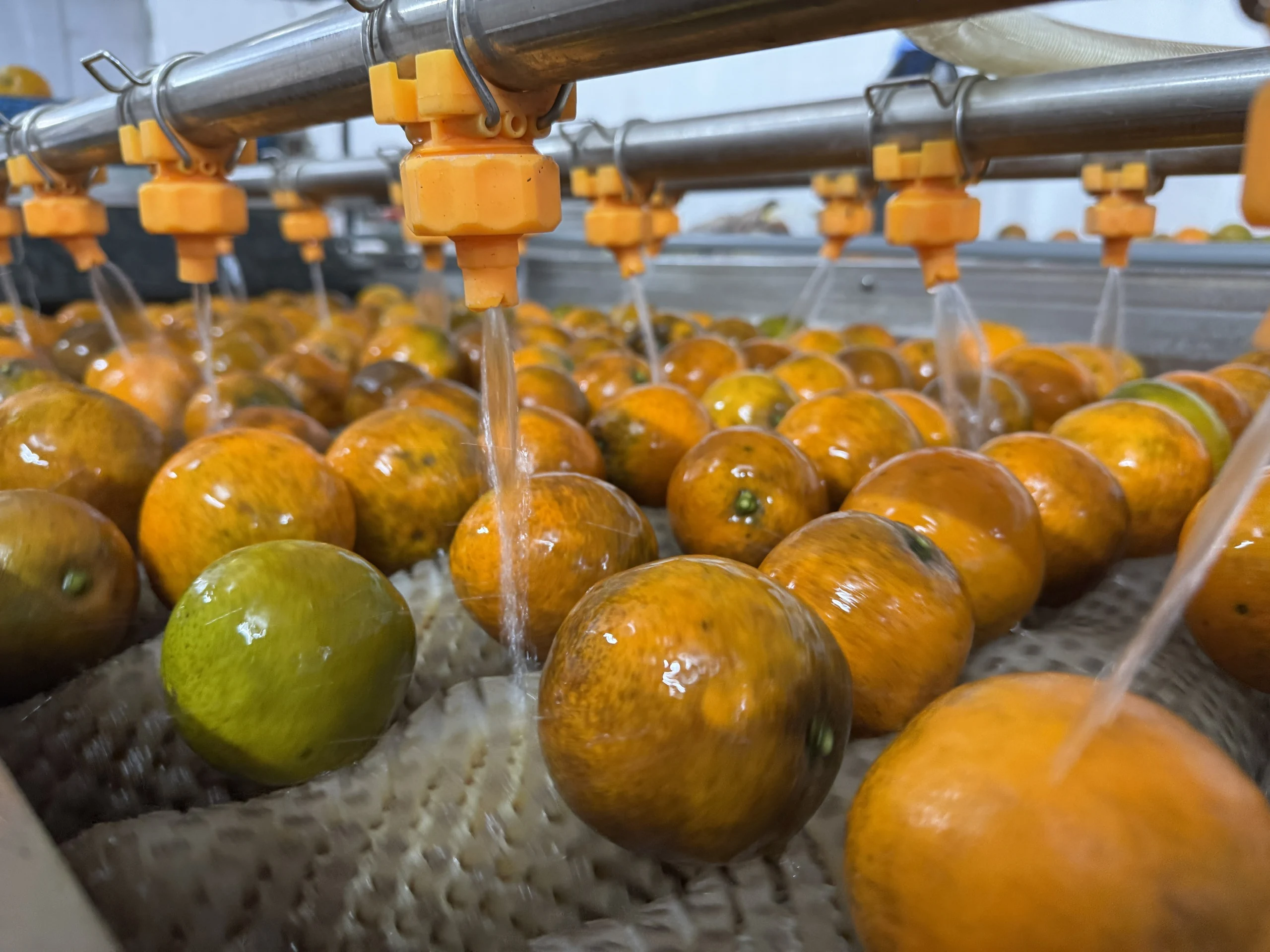 Khi nông sản xứ Mường biết “kể chuyện mình”