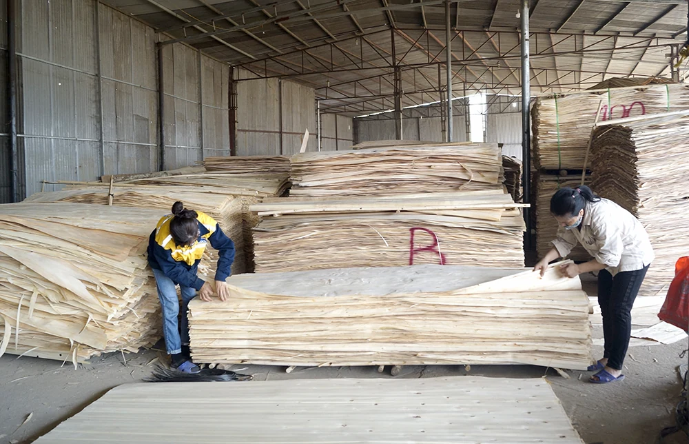 Phát huy tiềm năng của ngành nghề nông thôn