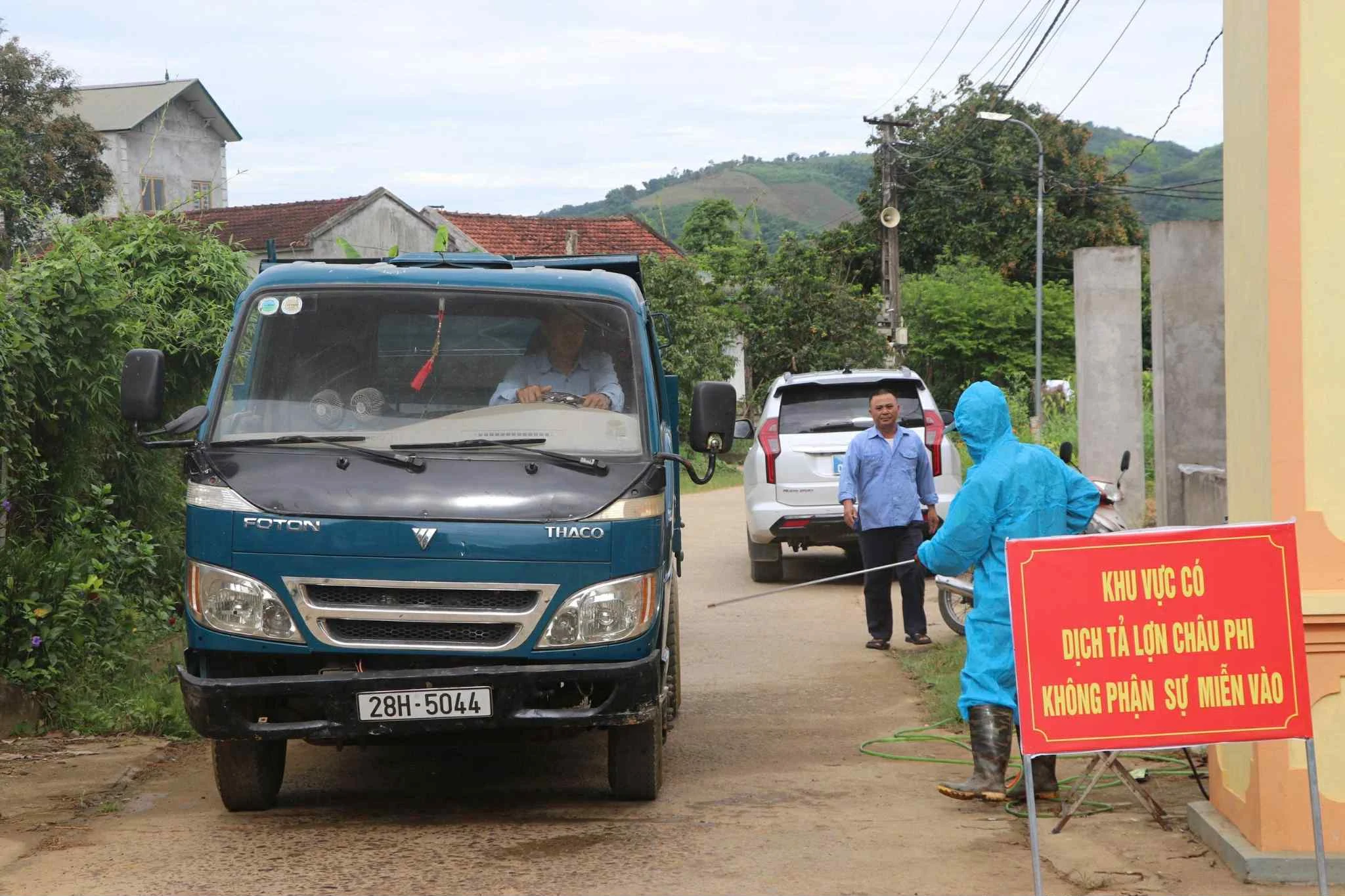 Tăng cường giám sát, xử lý nghiêm hành vi vứt lợn chết ra môi trường