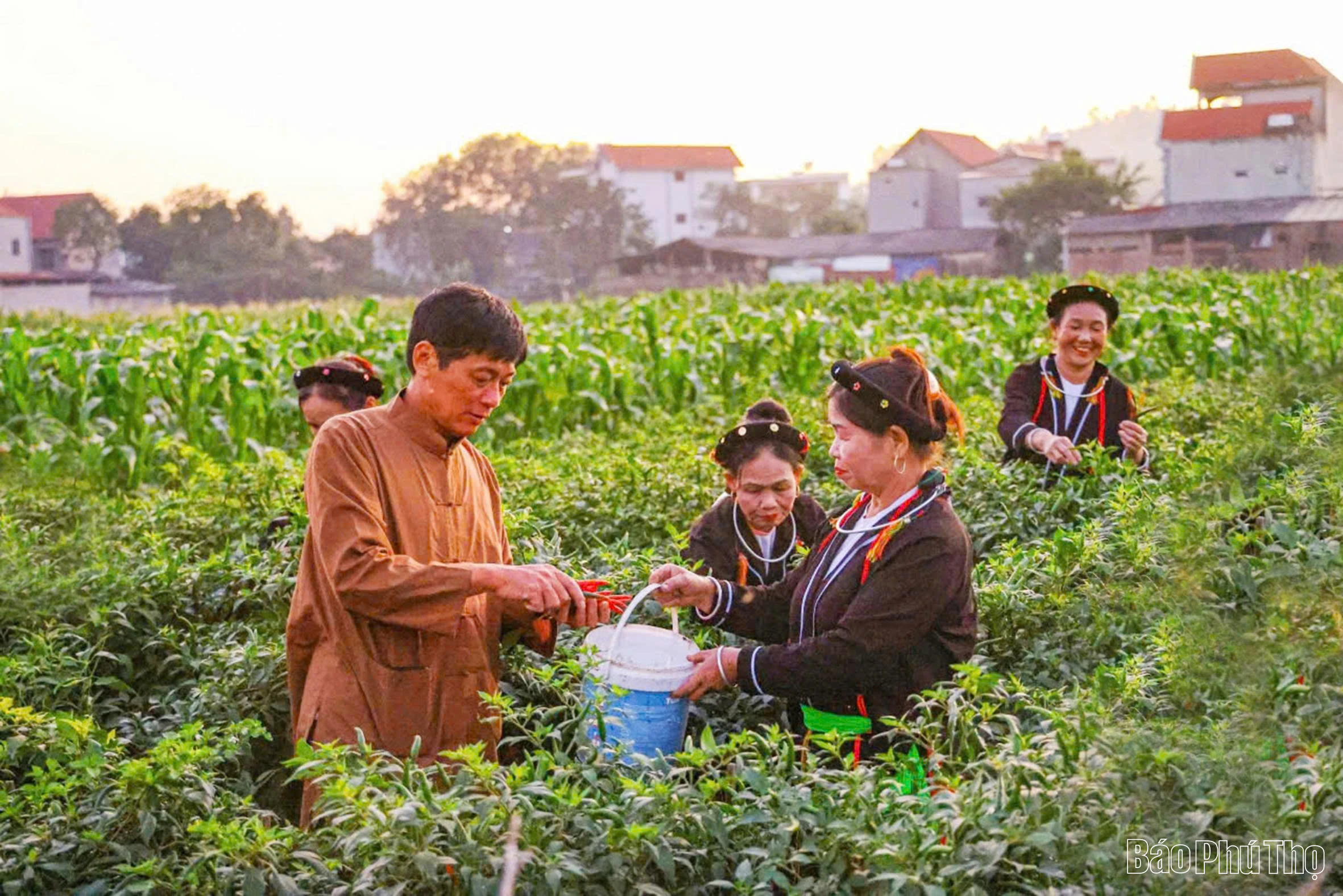 Khởi sắc kinh tế - xã hội ở Đạo Trù