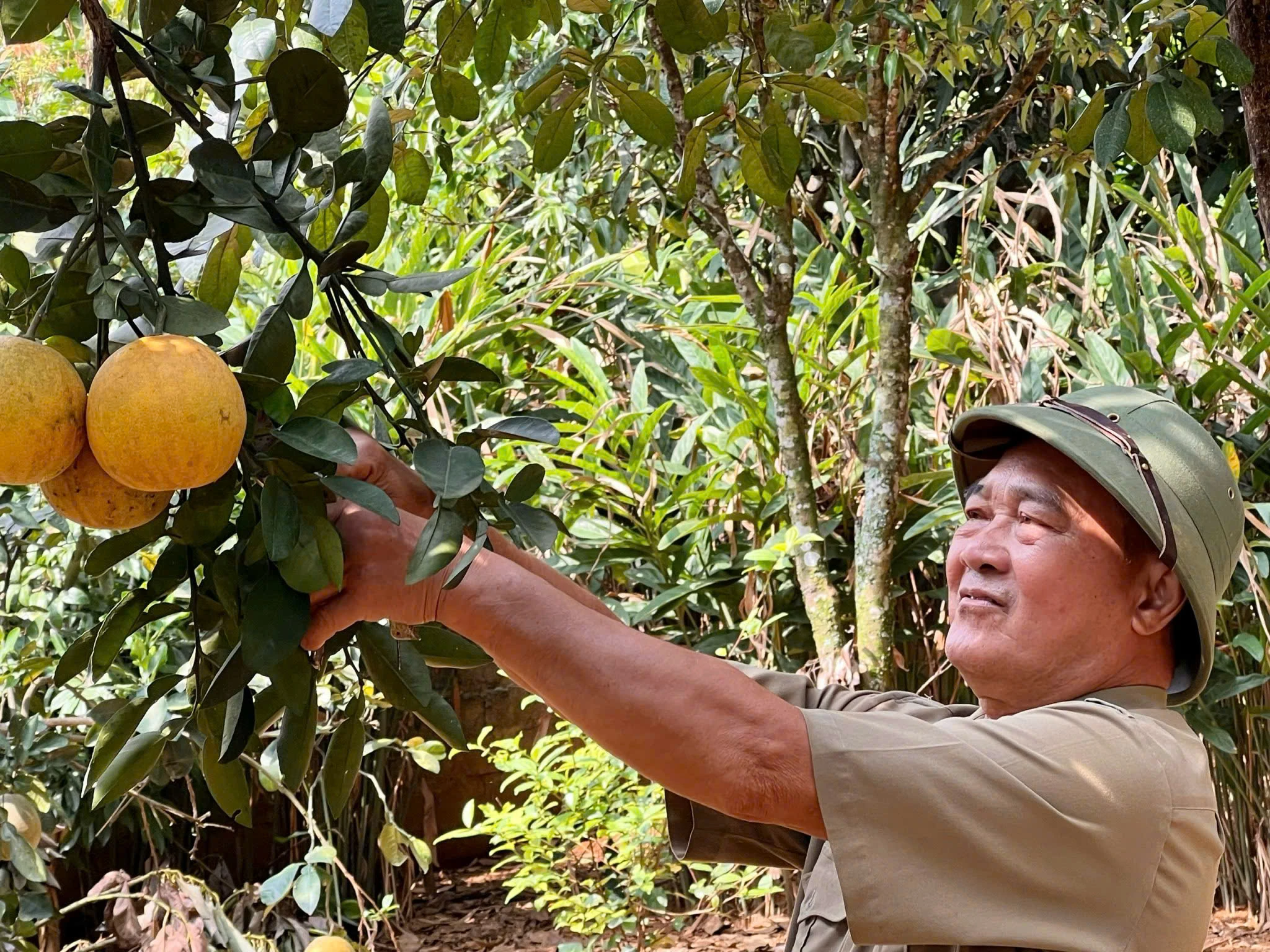 Những cựu chiến binh xung kích trên trận tuyến mới