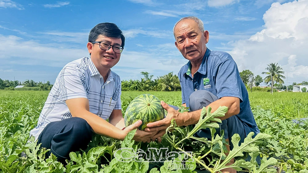 Mô hình tiền triệu giữa lòng đô thị hóa