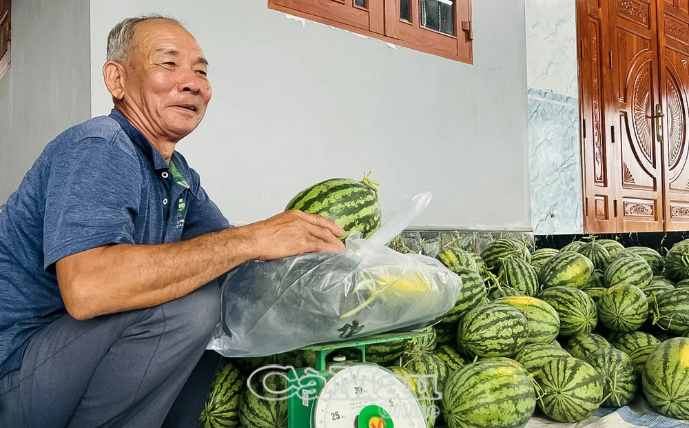 Mô hình tiền triệu giữa lòng đô thị hóa