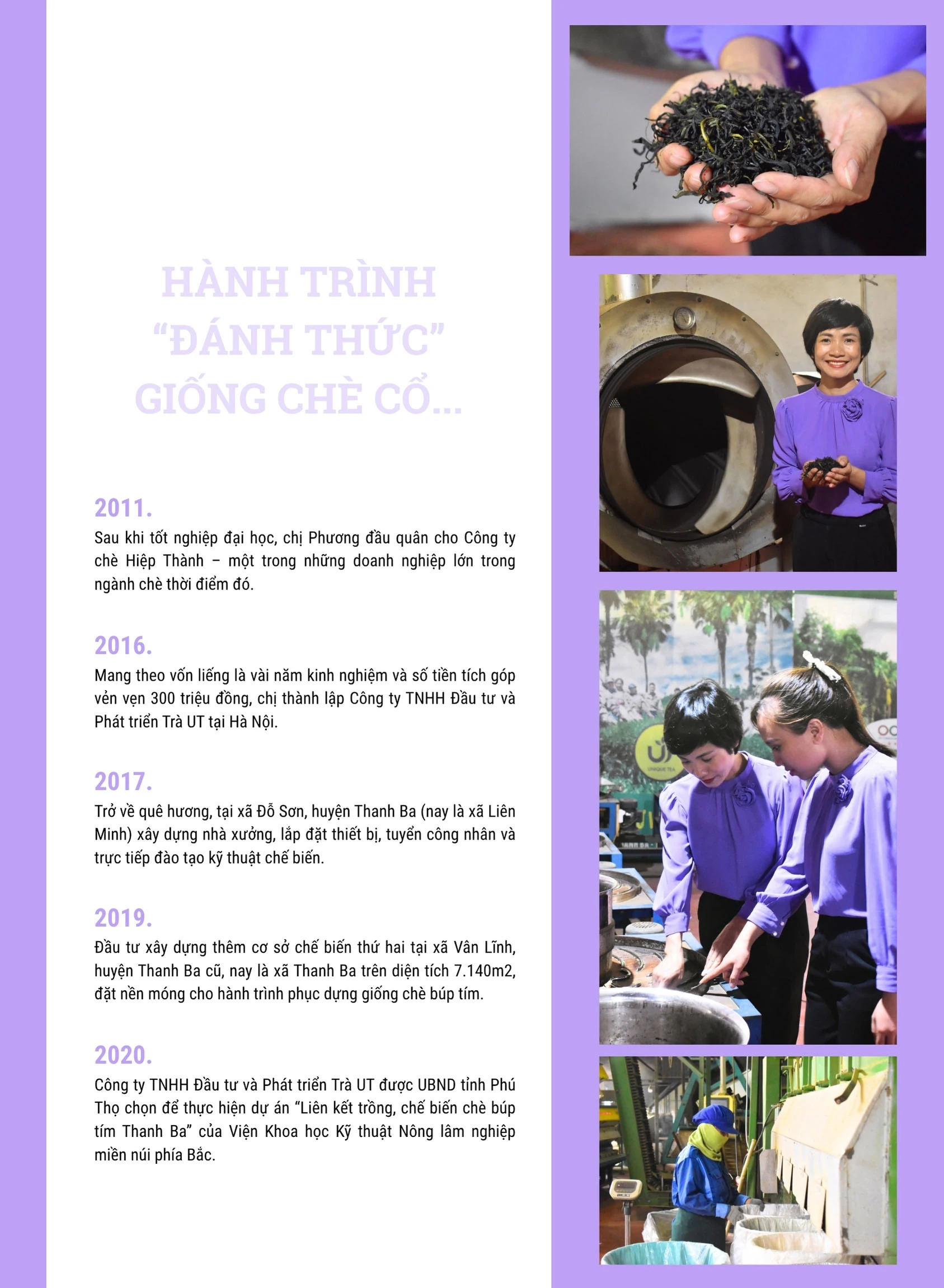 “Thức dậy” một giống chè, thắp lên một khát vọng