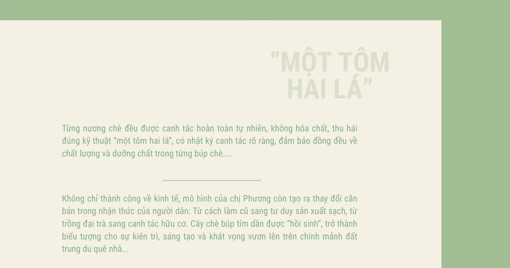 “Thức dậy” một giống chè, thắp lên một khát vọng