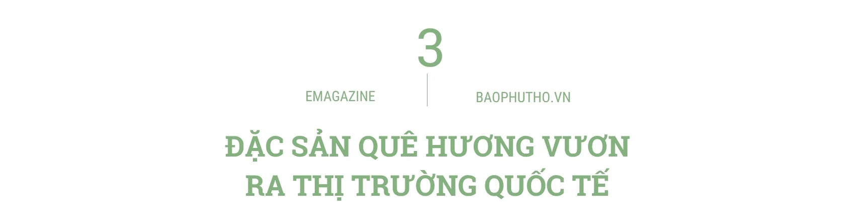 “Thức dậy” một giống chè, thắp lên một khát vọng