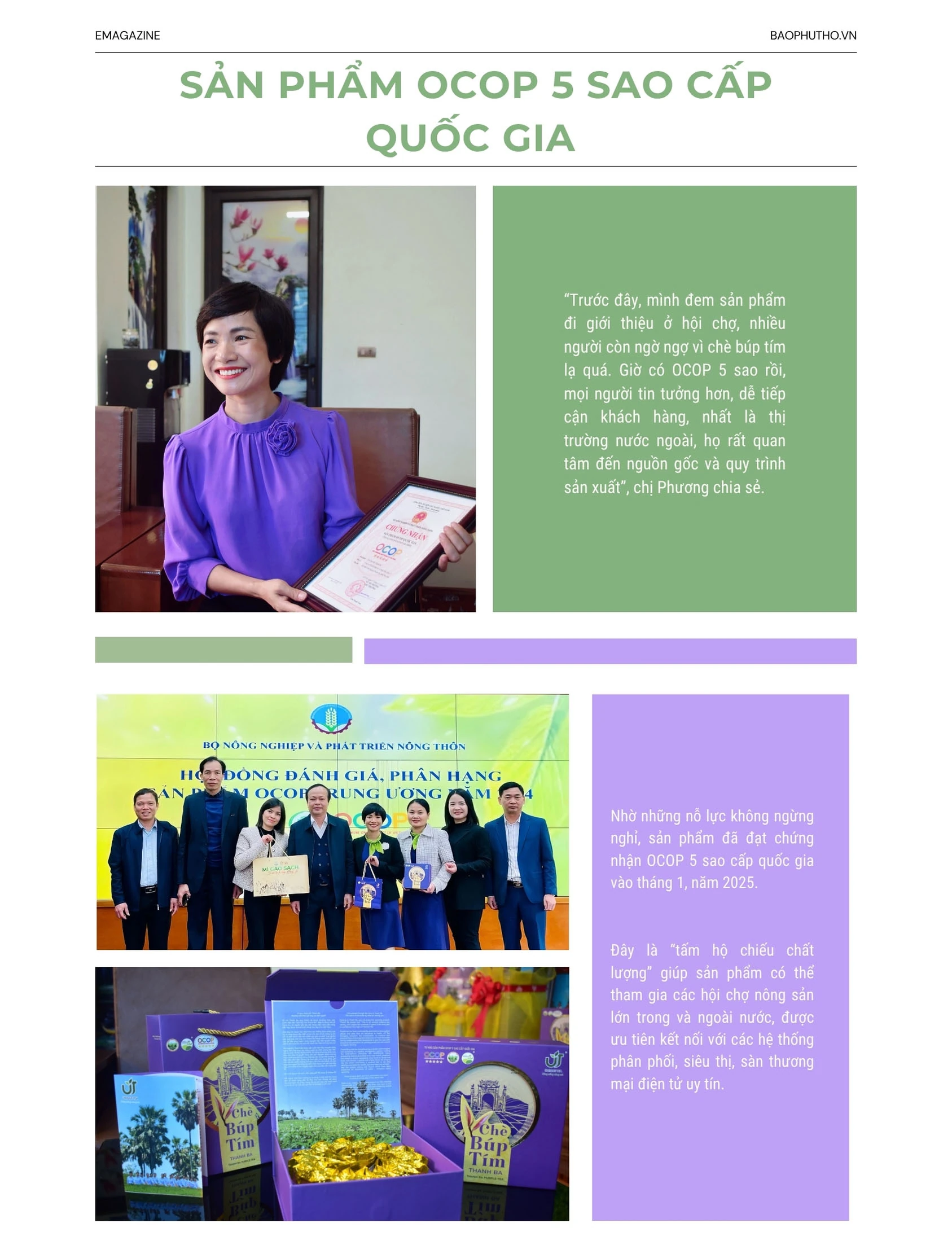 “Thức dậy” một giống chè, thắp lên một khát vọng