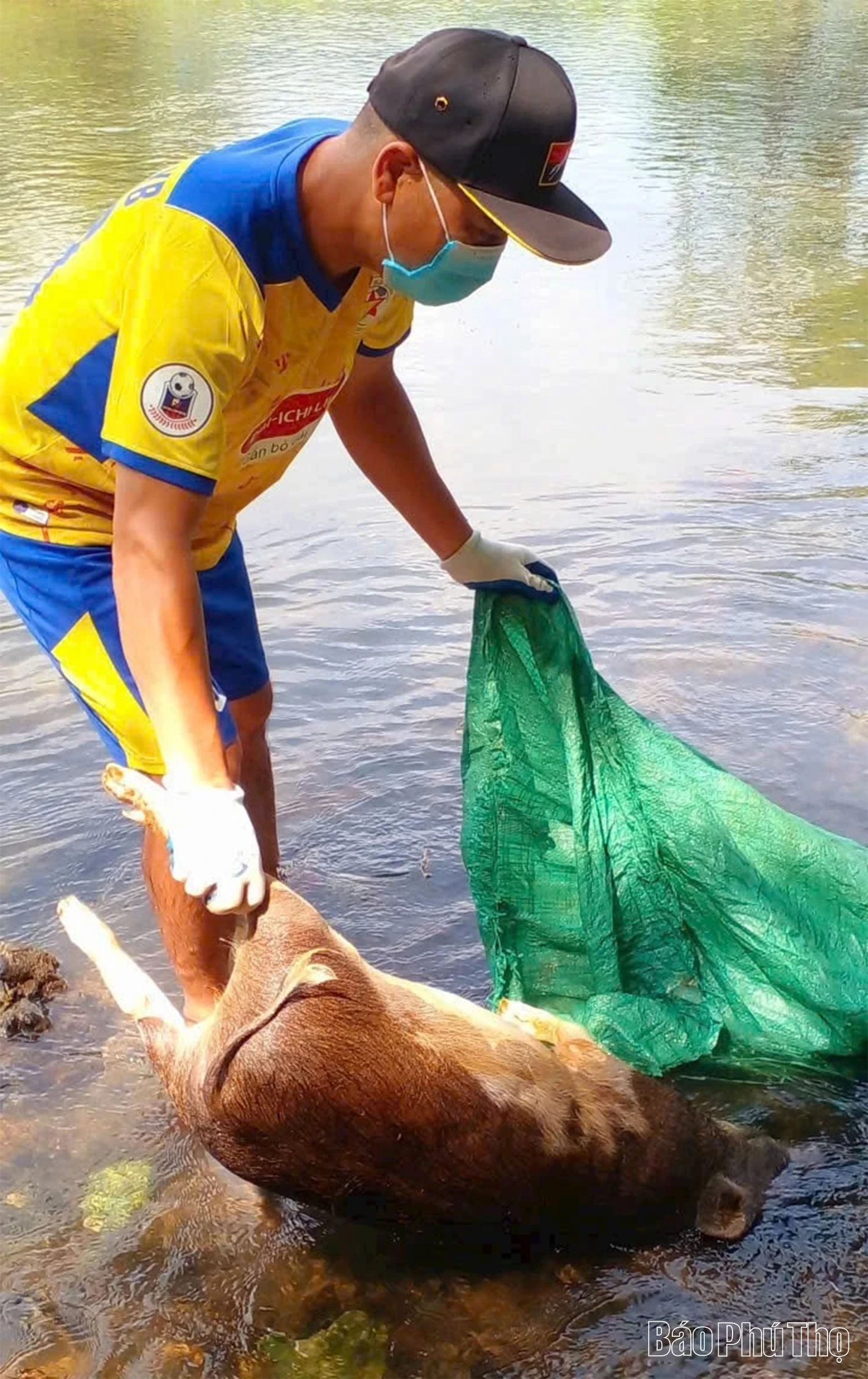 Anh Bùi Văn Tùng tự tìm, chôn lợn bệnh để bảo vệ môi trường