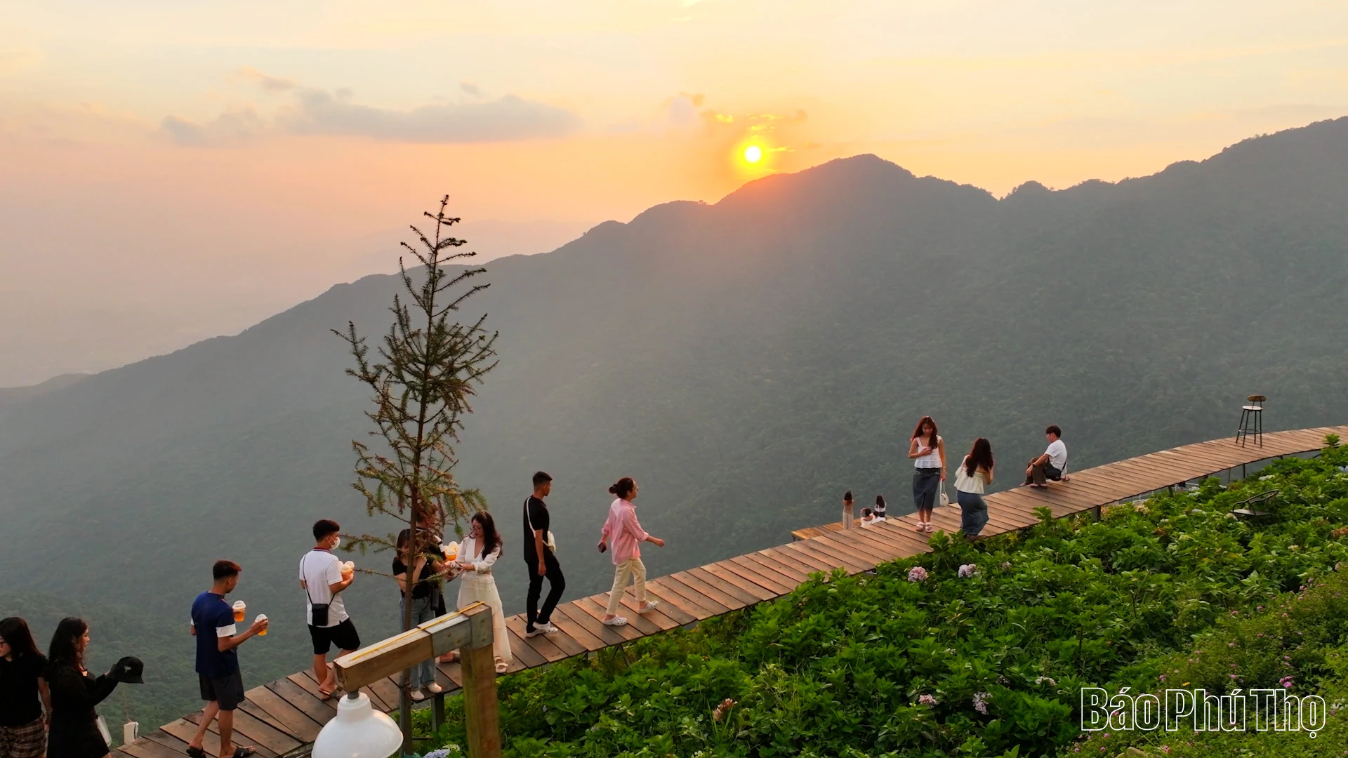 Tam Đảo - Kỳ tích thăng hoa từ mây ngàn và khát vọng