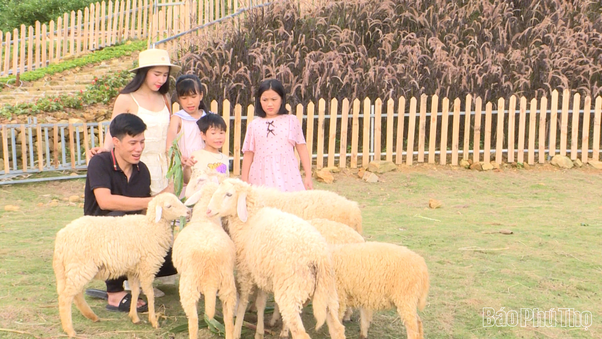 Tam Đảo - Kỳ tích thăng hoa từ mây ngàn và khát vọng