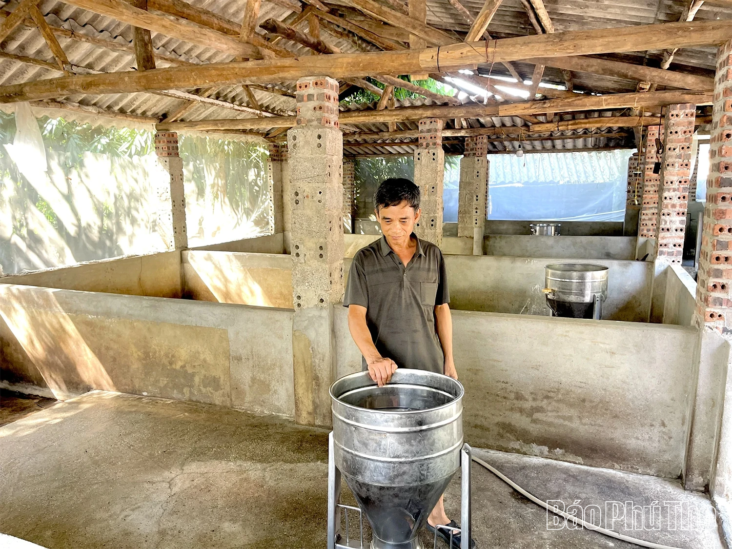 Xã Thái Hòa: Hàng nghìn con lợn bị tiêu hủy, nhiều gia đình trắng tay