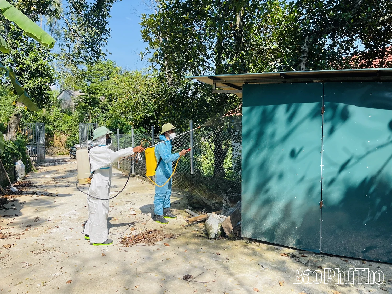 Xã Thái Hòa: Hàng nghìn con lợn bị tiêu hủy, nhiều gia đình trắng tay