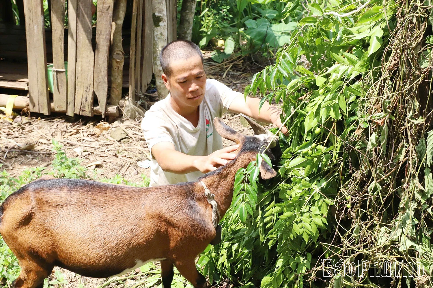 Biến con giống thành sinh kế, giúp dân thoát nghèo