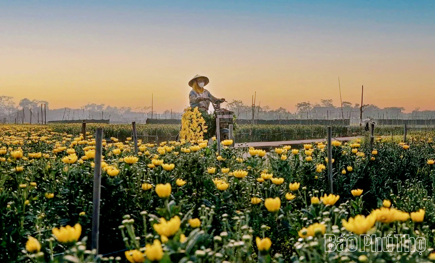 Xuân Lãng gỡ khó việc vận hành chính quyền địa phương 2 cấp