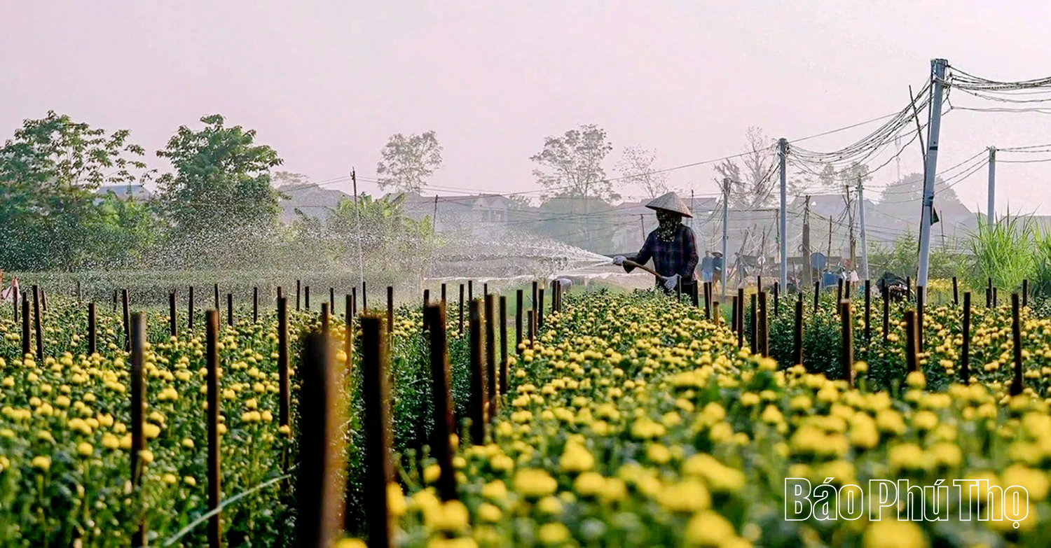 Xuân Lãng gỡ khó việc vận hành chính quyền địa phương 2 cấp