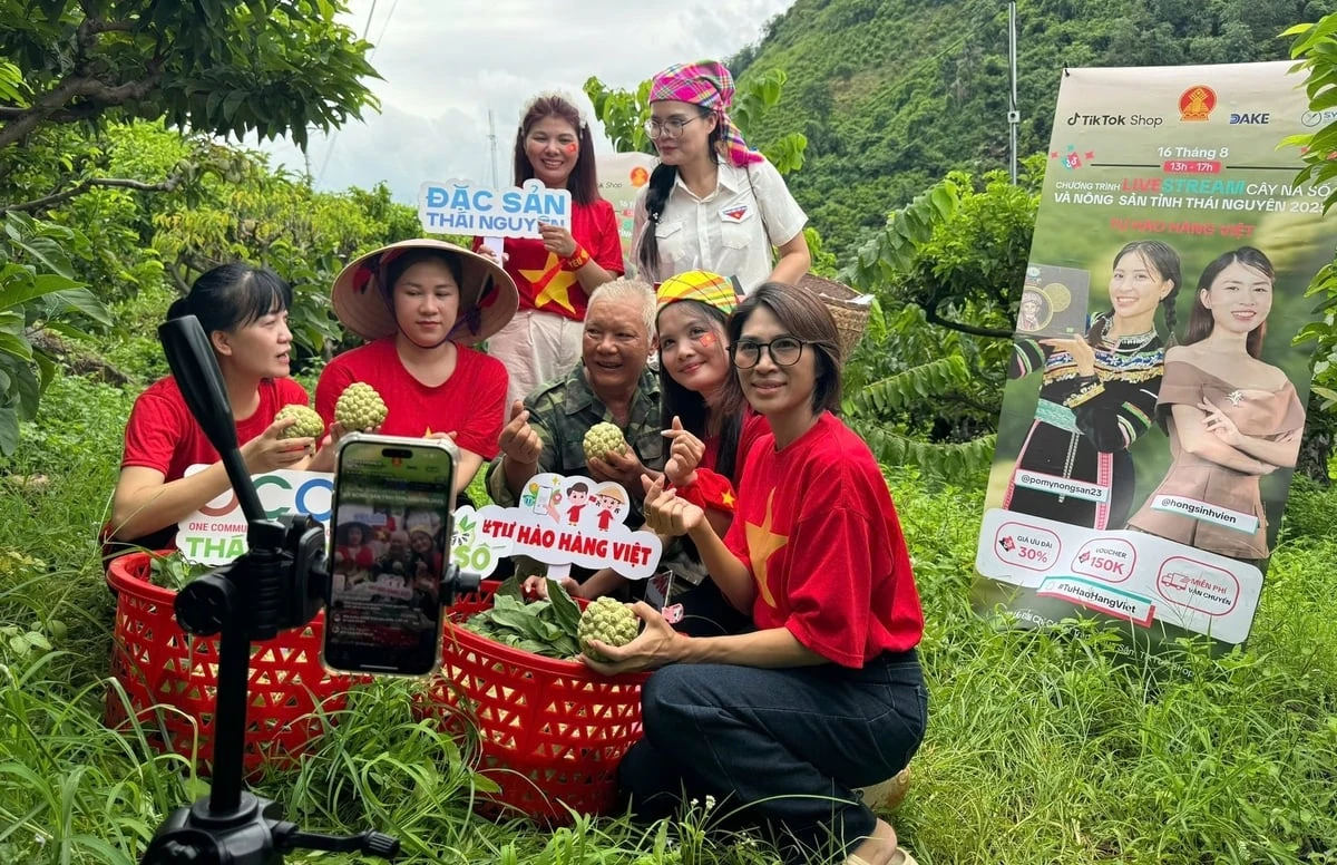 Thái Nguyên mang cây na số lên Tiktok