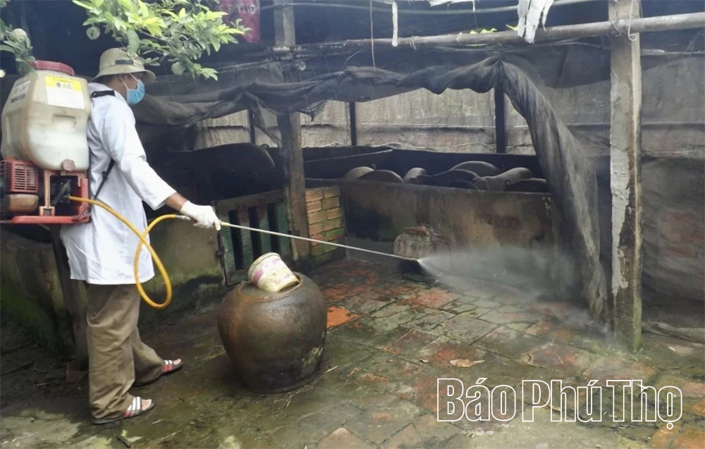 “Lá chắn” cho phòng, chống bệnh Dịch tả lợn châu Phi