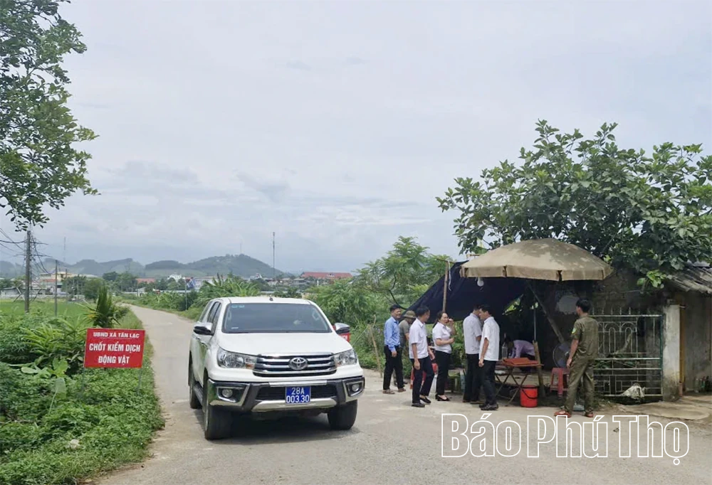 “Lá chắn” cho phòng, chống bệnh Dịch tả lợn châu Phi