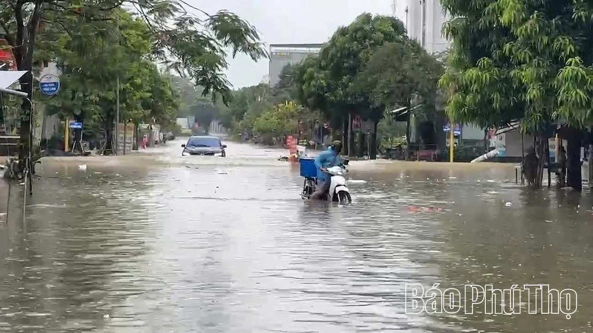 Mưa lớn gây ngập úng tại phường Việt Trì