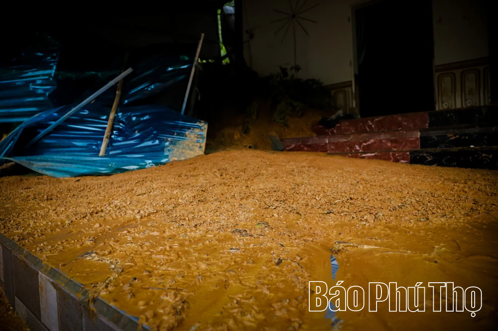 Tập trung khắc phục hậu quả sau bão số 5