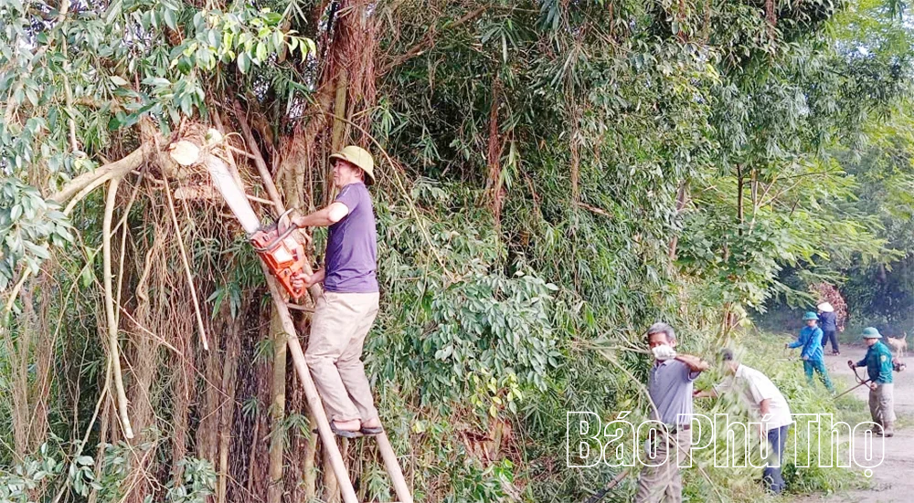 Phú Khê tưng bừng ra quân vệ sinh môi trường