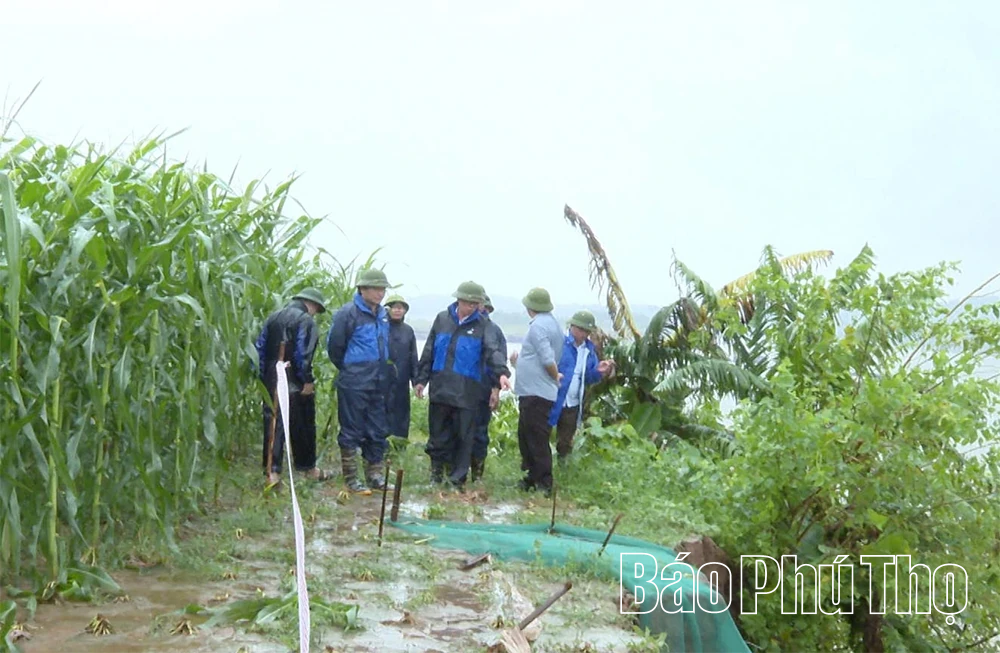 Tổ chức cắm biển cảnh báo sạt lở tại bờ sông Đà, xã Tu Vũ