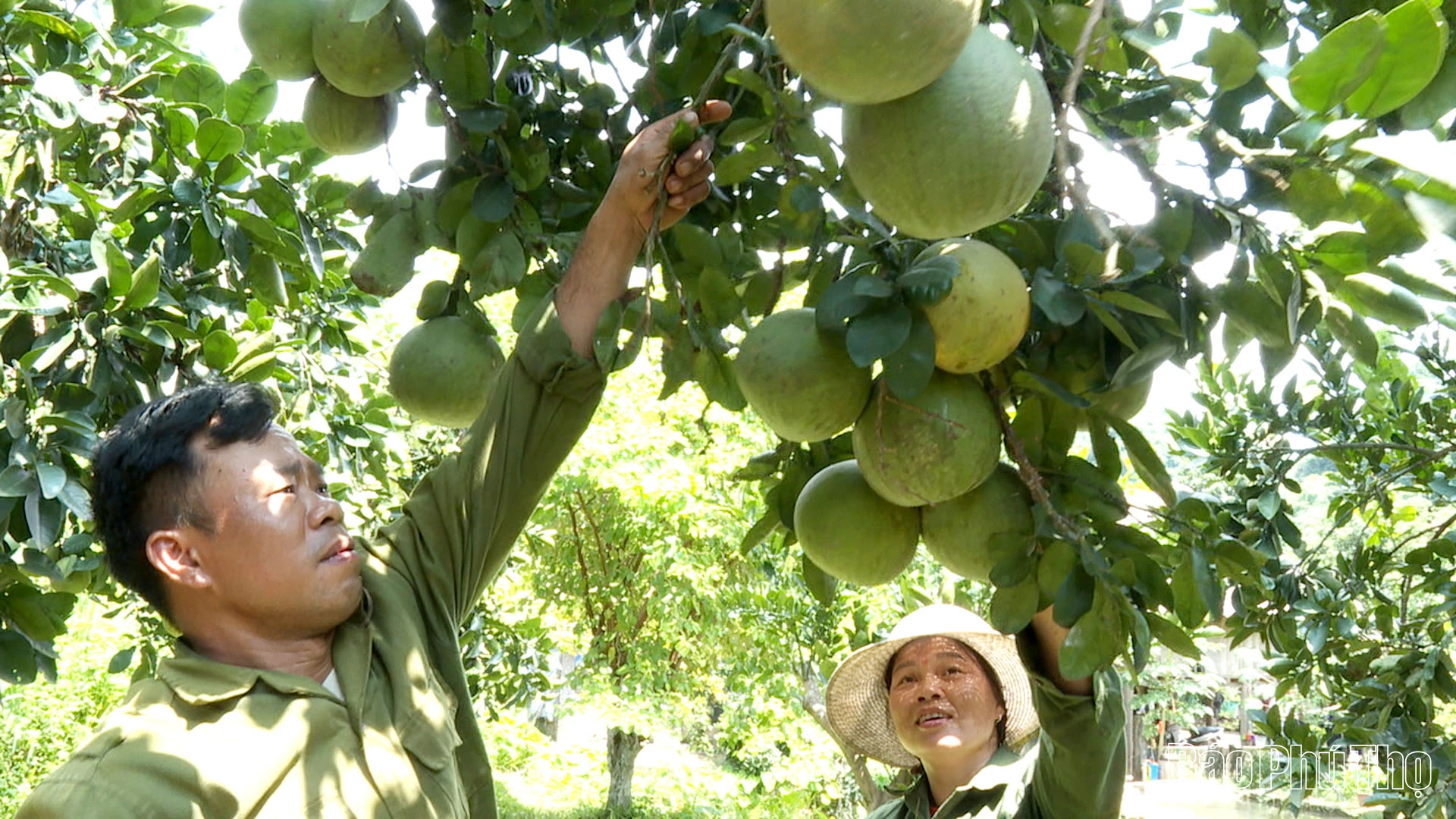 Khai thác tiềm năng, lợi thế, đưa Thu Cúc phát triển toàn diện và bền vững