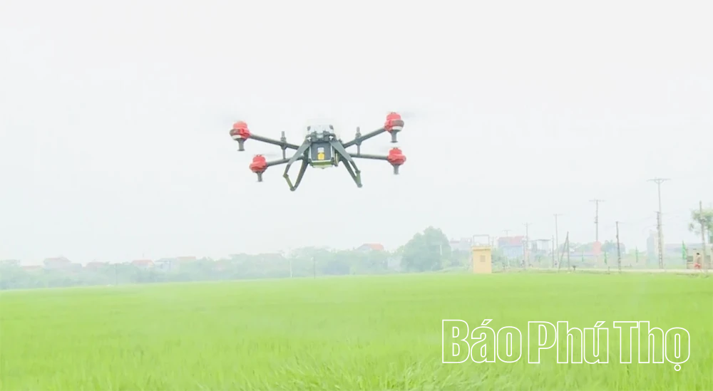 Cơ giới hóa trong sản xuất nông nghiệp ở Phú Thọ