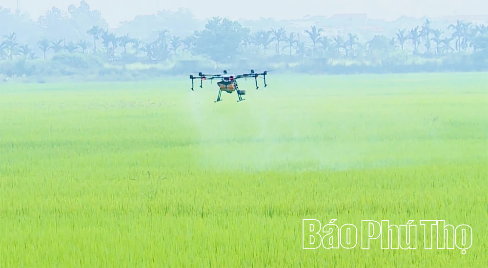 Cơ giới hóa trong sản xuất nông nghiệp ở Phú Thọ