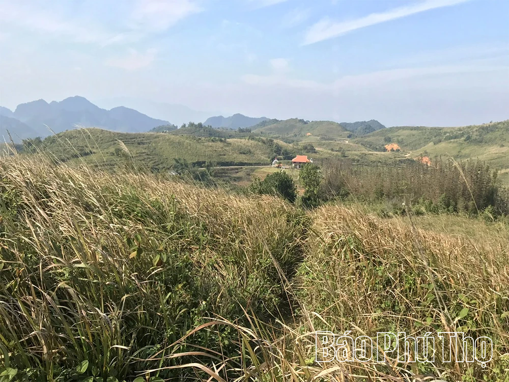 Nỗ lực đưa “viên ngọc xanh” miền sơn cước tỏa sáng