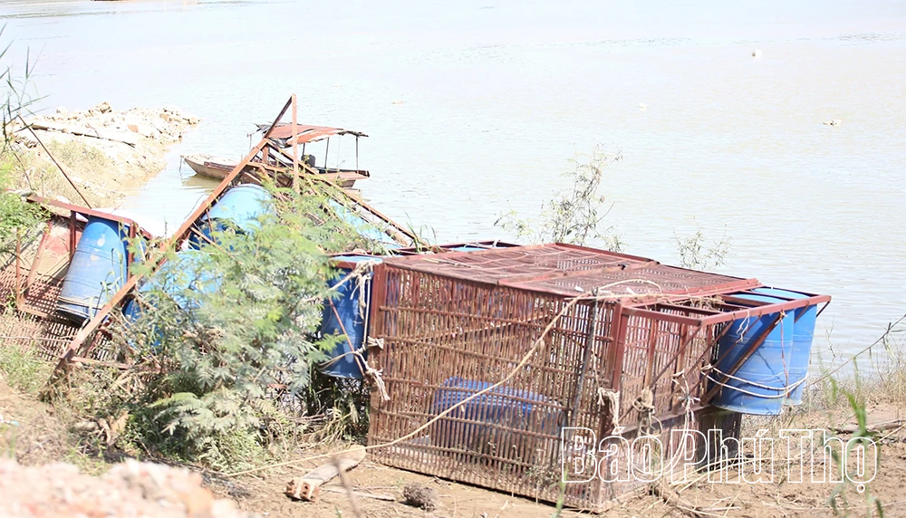 Cần vực lại nghề nuôi cá lồng ở Vân Phú