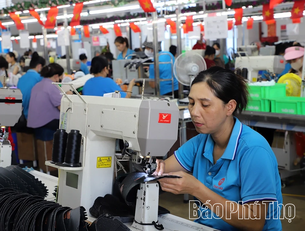 Xã Đại Đồng thu hút đầu tư, giải bài toán “ly nông nhưng không ly hương”