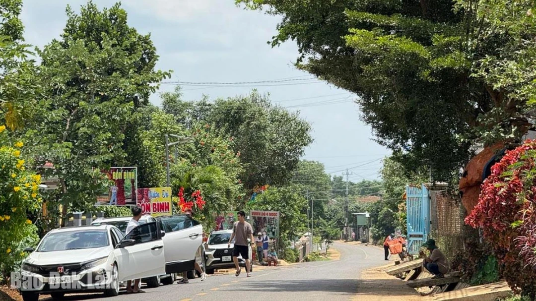 Hiệu quả kinh tế từ du lịch nông nghiệp