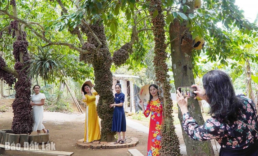 Hiệu quả kinh tế từ du lịch nông nghiệp