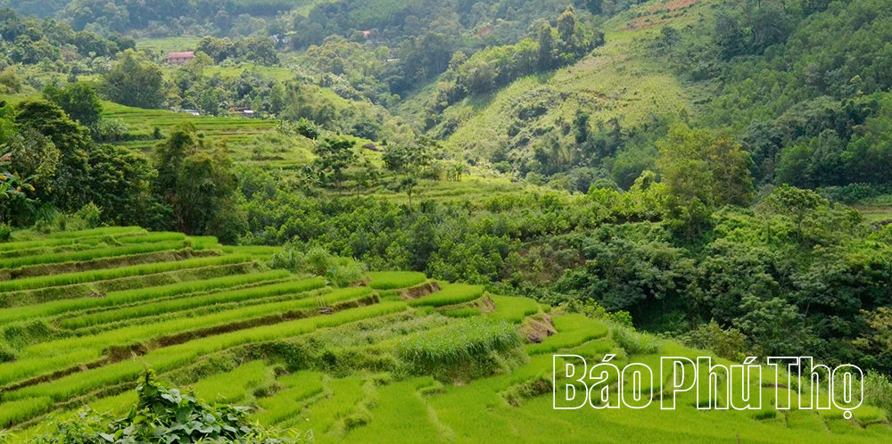 Mê mẩn ruộng bậc thang vùng cao Mường Vang