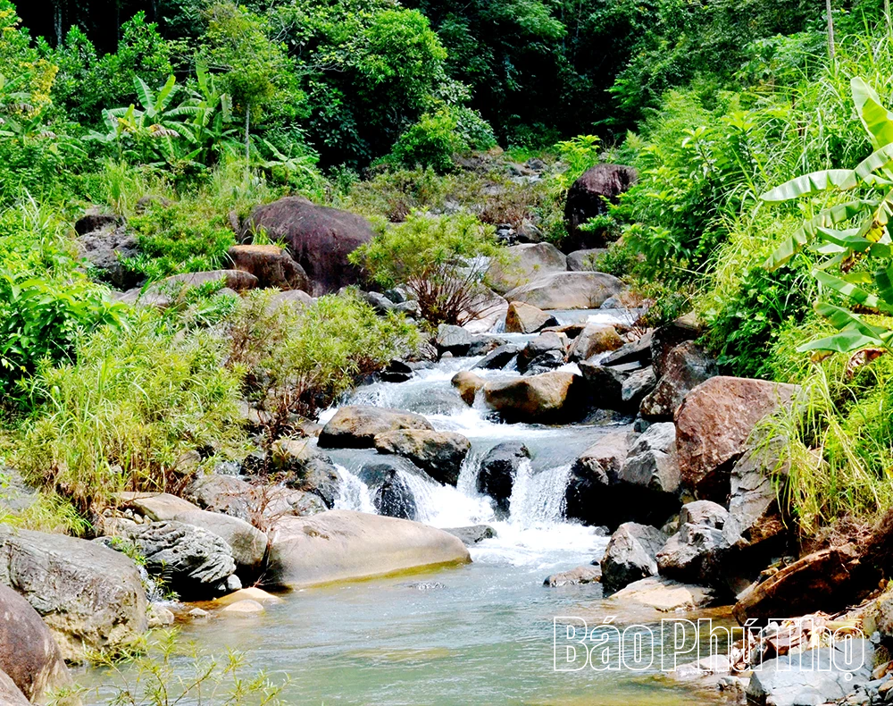 Mê mẩn ruộng bậc thang vùng cao Mường Vang