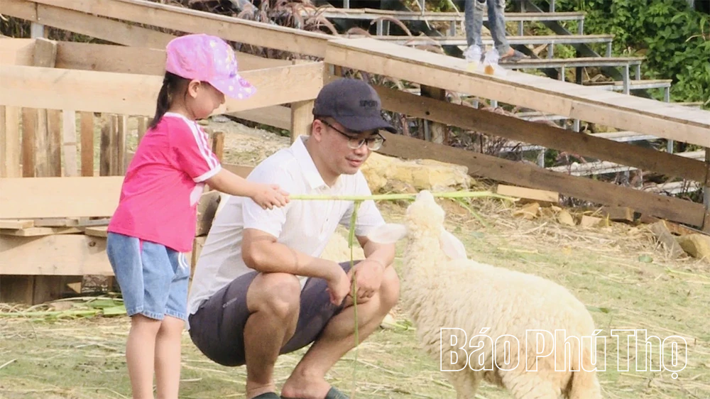 Chàng trai Sán Dìu thổi làn gió mới vào du lịch Tam Đảo