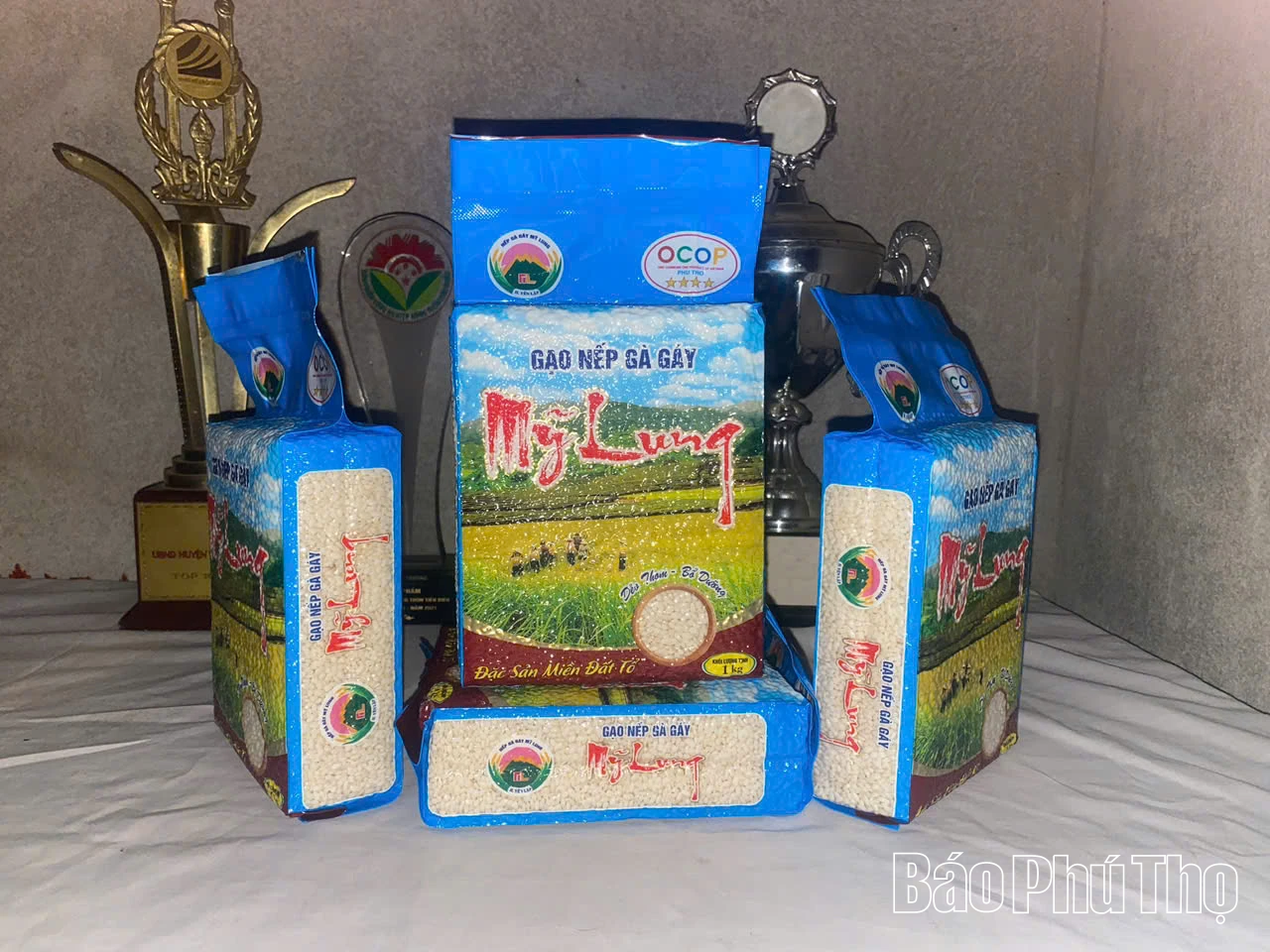 Xây dựng chỉ dẫn địa lý cho sản phẩm gạo nếp Gà Gáy Mỹ Lung